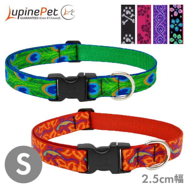 Lupine ルパイン アジャスタブルカラー 2.5cm幅 S 中型犬 大型犬 首輪 ワンタッチ バ...