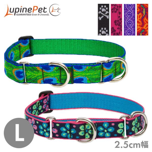 マーチンゲールカラー Lupine ルパイン コンボカラー 2.5cm幅 L 大型犬 首輪 ハーフチ...