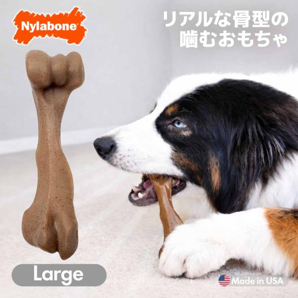 犬 噛むおもちゃ 長持ち Nylabone ナイラボーン ストロングチュウ フィーマーボーン ラージ...