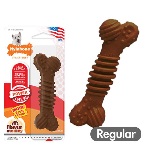 Nylabone ナイラボーン テクスチャーボーン レギュラーサイズ メドレーフレーバー 小型犬 噛...