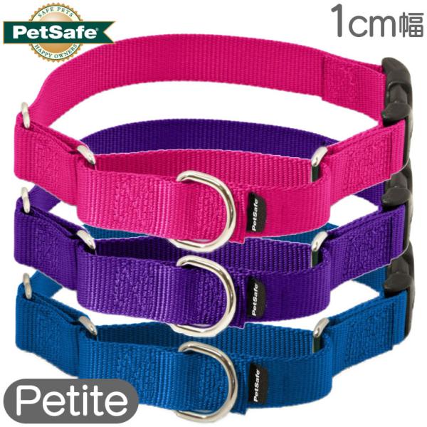 小型犬 ハーフチョーク ナイロン 首輪 バックル付き ペットセーフ プレミアカラー with クイッ...