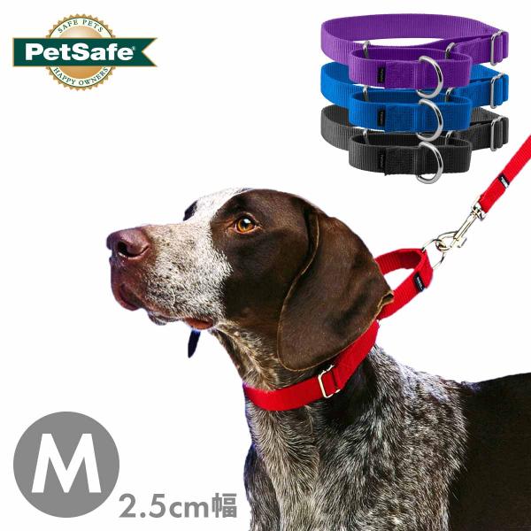 大型犬 首輪 ハーフチョークカラー ペットセーフ プレミアカラー 2.5cm幅 M ナイロン Pet...