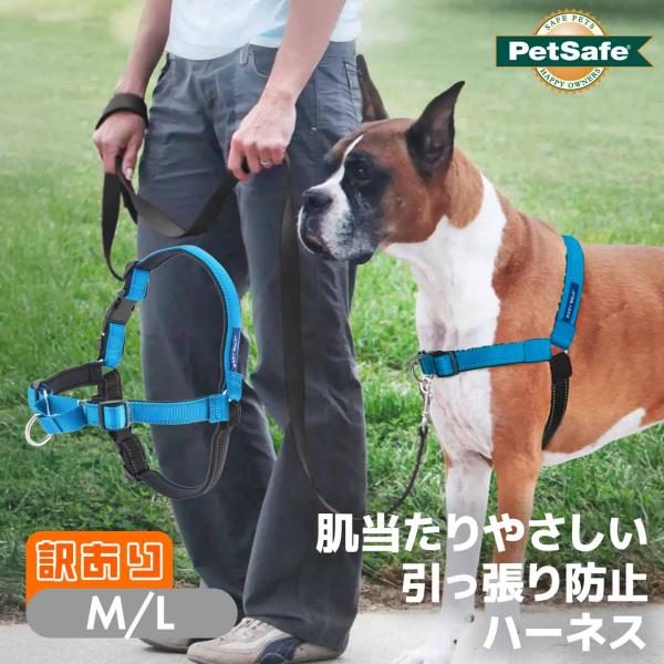 【訳あり】 引っ張り防止 ペットセーフ デラックスイージーウォークハーネス M/L オーシャンブルー...