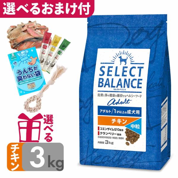 P10倍 おまけ付 ドッグフード セレクトバランス アダルト チキン 中粒 3kg 1才以上の成犬用...