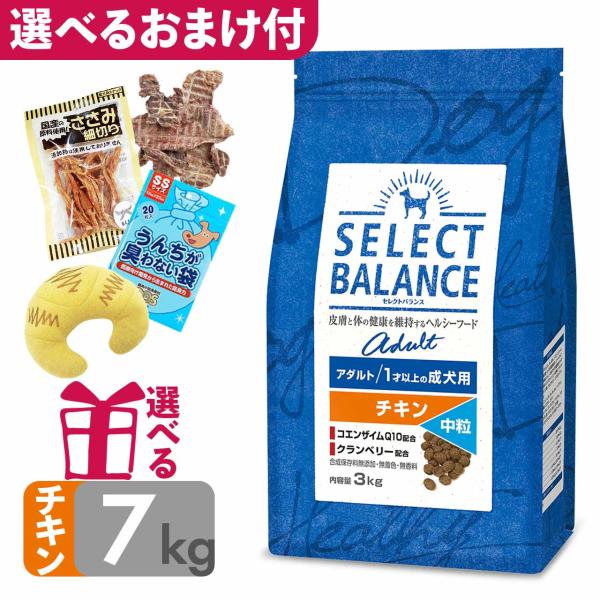 P10倍 おまけ付 ドッグフード セレクトバランス アダルト チキン 中粒 7kg 1才以上の成犬用...