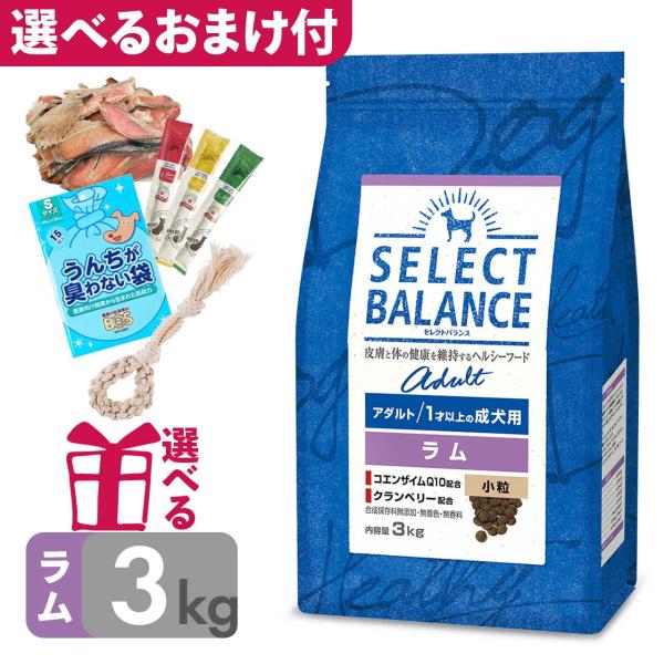 P10倍 おまけ付 ドッグフード セレクトバランス アダルト ラム 小粒 3kg 1才以上の成犬用 ...