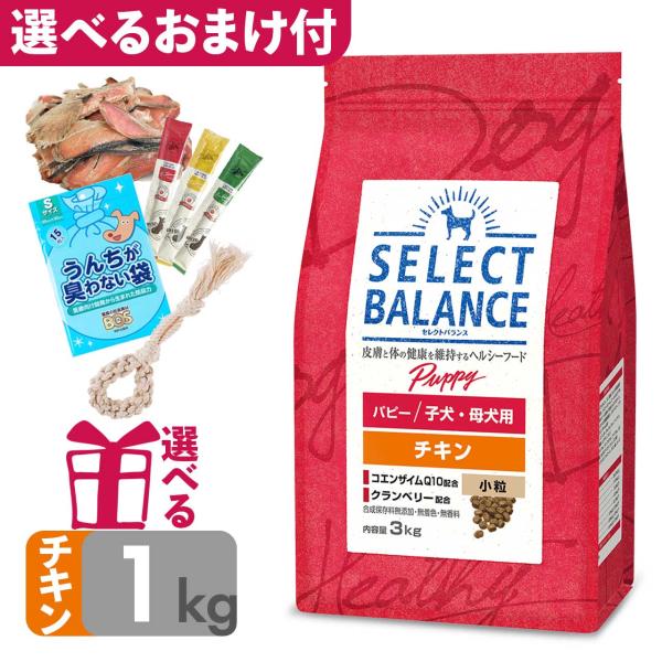 P10倍 おまけ付 ドッグフード セレクトバランス パピー チキン 小粒 1kg 子犬・母犬用 小型...