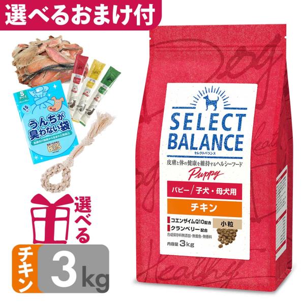 P10倍 おまけ付 ドッグフード セレクトバランス パピー チキン 小粒 3kg 子犬・母犬用 小型...