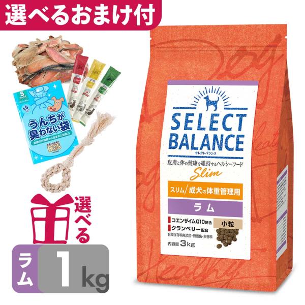 P10倍 おまけ付 低脂肪 ドッグフード セレクトバランス スリム ラム 小粒 1kg 成犬の体重管...