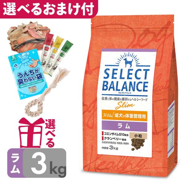 P10倍 おまけ付 低脂肪 ドッグフード セレクトバランス スリム ラム 小粒 3kg 成犬の体重管...