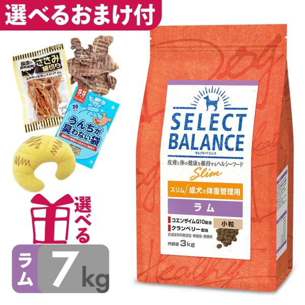 P10倍 おまけ付 低脂肪 ドッグフード セレクトバランス スリム ラム 小粒 7kg 成犬の体重管...