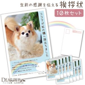 ペット 挨拶状 印刷 名入れ無料 10枚 セット 暑中見舞い