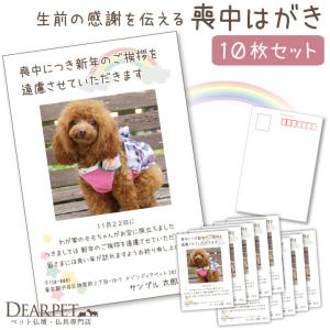 ペット 喪中はがき 印刷 名入れ無料 10枚 セット 犬 猫 うさぎ ハムスター オーダー メモリアル かわいい おしゃれ オリジナル ネコポス対応｜ペット仏壇・仏具のディアペット