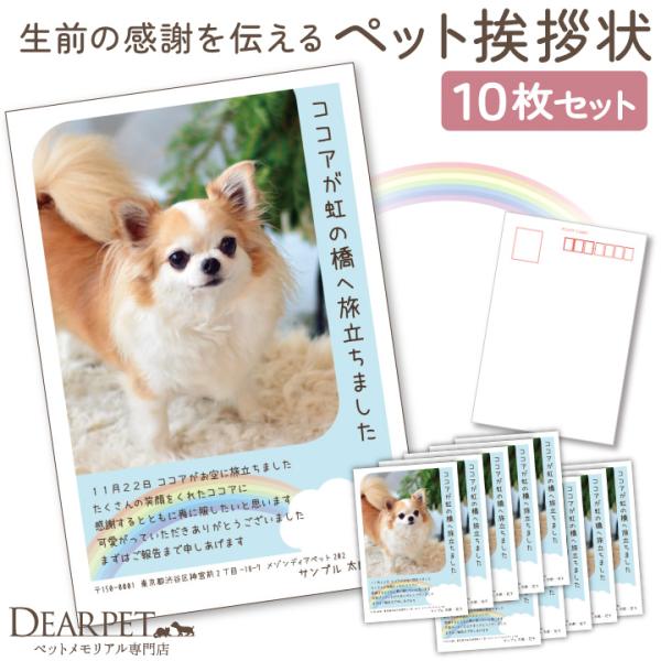 ペット 挨拶状 印刷 名入れ無料 10枚 セット 暑中見舞い 寒中見舞い クリスマスカード かわいい...