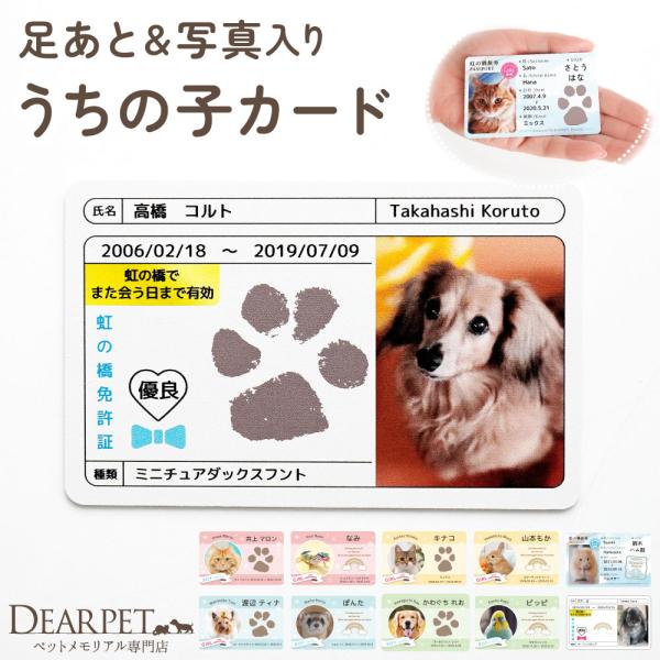 ペット 写真 足あと プリント うちの子カード 肉球 名入れ オーダーメイド メモリアルグッズ 虹の...