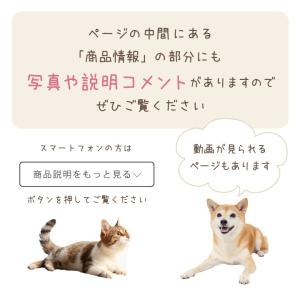 ペット供養 LED 光触媒 フラワー ライト ...の詳細画像1
