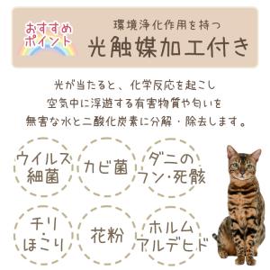 ペット供養 LED 光触媒 フラワー ライト ...の詳細画像5