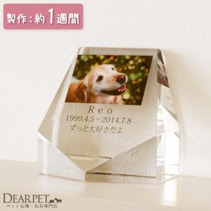 ペット 位牌 クリスタル シンプルクリスタル カラー