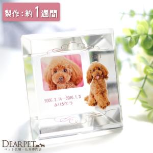 ペット 位牌 クリスタル スクエアクリスタル カラー