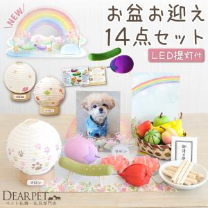 SELECTION PRO. イースター モルモットセレクションプロ 600g×2袋