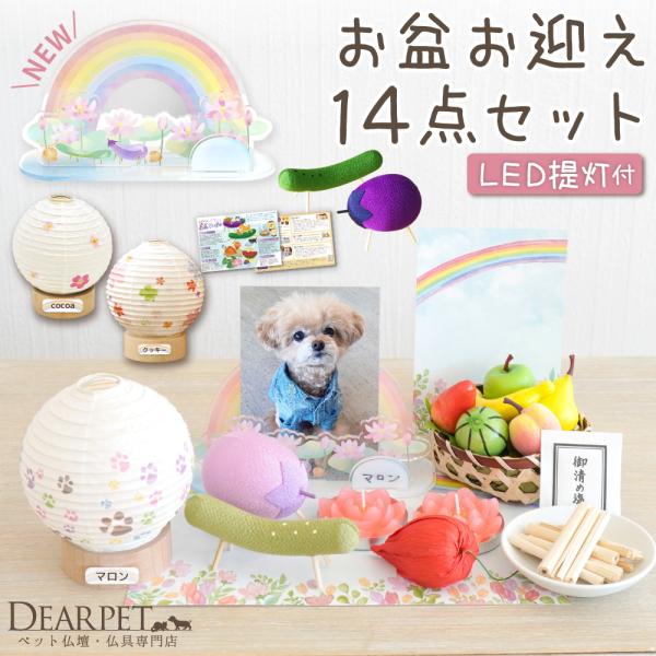 ペット 盆 まあるい提灯 &amp; ちりめん パステル 精霊馬 お盆お迎えセット ネームプレート コードレ...