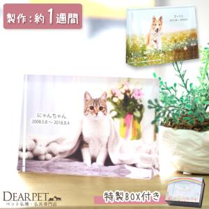 ペット 位牌 ペット位牌 キャトル alltype クリスタル位牌 写真 特製BOX付｜dearpet