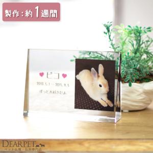 ペット位牌 キャトル クリスタルDP 特製BOX付