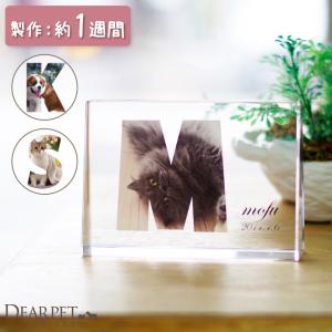 ペット位牌 キャトル クリスタル イニシャルtype 特製BOX付