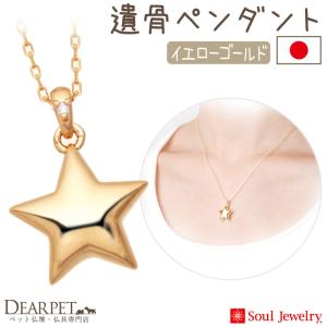 ポイント5倍 ペット 遺骨ペンダント スター イ...の商品画像