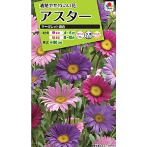 種子 アスター マーガレット混合 タキイ種苗のタネ Hanatane 0005 Gardener S Shop Ivy 通販 Yahoo ショッピング