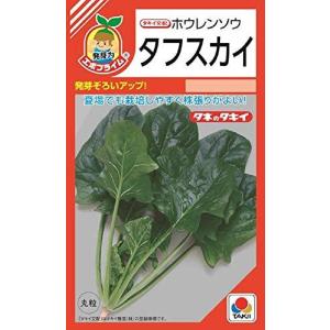 【種子】 ホウレンソウ タフスカイ タキイ種苗のタネの商品画像