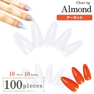 ネイルチップ クリア 無地 ゆるやかオーバル 10サイズ500枚入り #17