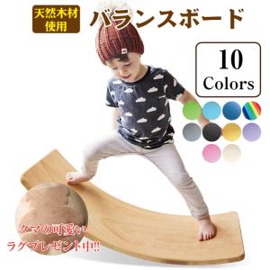 EMS用粘着パッド アクセルガード Lサイズ 5×9cm 1セット（5袋