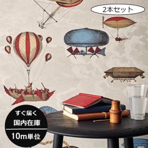 本棚柄 ブックスタンド 洋書柄 イタリア フォルナセッティ Cole＆Son