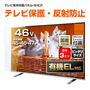 SANWA SUPPLY（サンワサプライ） テレビ 保護パネル TV 液晶