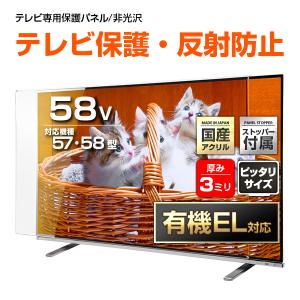 SANWA SUPPLY（サンワサプライ） テレビ 保護パネル TV 液晶