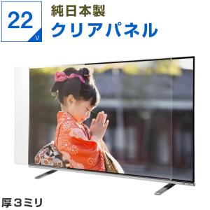 テレビ保護パネル 55型 55インチ クリアパネル 厚2mm テレビガード