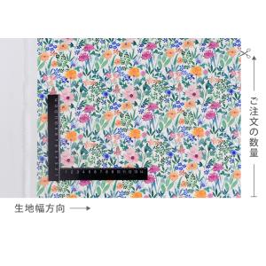 生地・布・入園入学≪ボタニカルメロディ≫コット...の詳細画像2