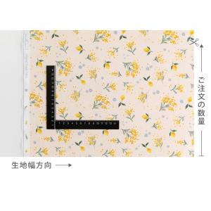 【限定30%OFF】生地・布・入園入学≪ ミモ...の詳細画像2