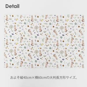 ★3/23 12:59まで★特大ランチョンマッ...の詳細画像2