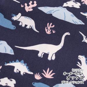 生地・布・入園入学≪dinosaur≫オックス/幅148cm【オリジナル生地】【10cm単位販売】