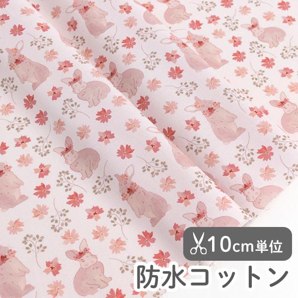 ★2/26(木)8:59まで★生地・布・入園入学≪ プティラパン ≫防水コットン/幅109cm【オリ...