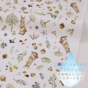 生地・布・入園入学　≪ Milky rabbit ≫　ラミネート生地/幅105cm　つや消しサラサラ　