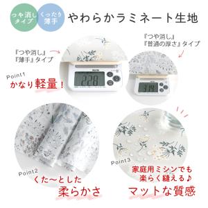 生地・布・入園入学≪ワイルドフラワー-フラワー...の詳細画像4