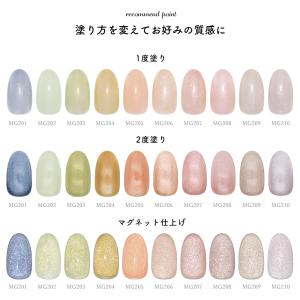 [ネコポス送料無料]マグネットネイル irog...の詳細画像4