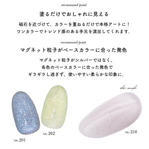 [ネコポス送料無料]マグネットネイル irog...の詳細画像5