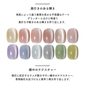 ジェルネイル イロジェル マグネットネイル カ...の詳細画像2