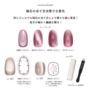 ジェルネイル イロジェル マグネットネイル カ...の詳細画像3