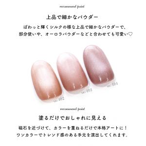 ジェルネイル イロジェル マグネットネイル カ...の詳細画像4