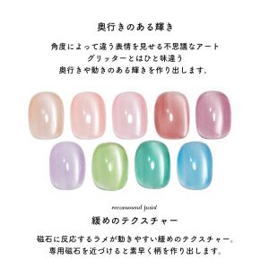 ジェルネイル イロジェル マグネットネイル カ...の詳細画像2